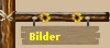Bilder
