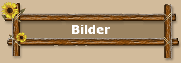 Bilder