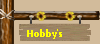 Hobby's