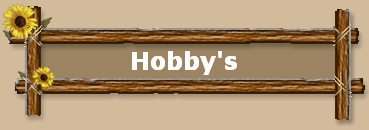 Hobby's
