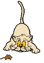 katmus