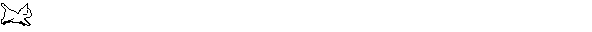 katze6